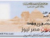 تعرف على كيفية استخرج البطاقات الشخصية من موبايلك فى 15 دقيقة .. التفاصيل داخل الرابط | صوت مصر نيوز