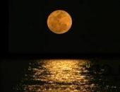 ” هدوء الليل وسحر القمر ” .. | صوت مصر نيوز