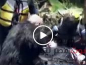 شاهد بالفيديو .. شيماء سيف تفقد الوعي في “رامز في الشلال” | صوت مصر نيوز