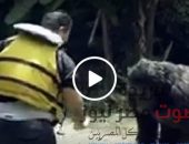شاهد بالفيديو .. أحمد فتحي في حالة من الفزع والرعب في رامز في الشلال | صوت مصر نيوز