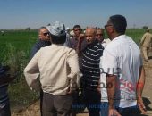 إزالة 14 حالة زراعة أرز مخالفة بمساحة 32 فداناً بقرية قصر الباسل بالفيوم | صوت مصر نيوز